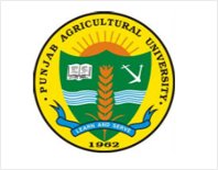 Punjab Agriculture University
